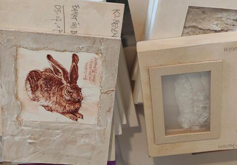 HASE AUF PAPIER