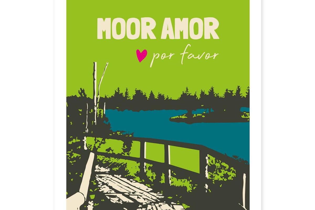 Wildsee am Hochmoor Kaltenbronn